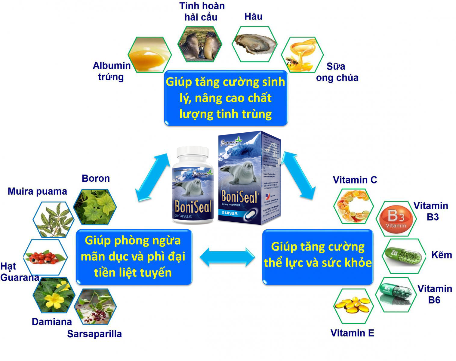 Công thức toàn diện của BoniSeal +